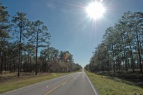 On the road through Ocala National Forest