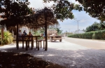 Teenui Village, Atiu, Cook Islands, November 2000. © Andrew A Bryant